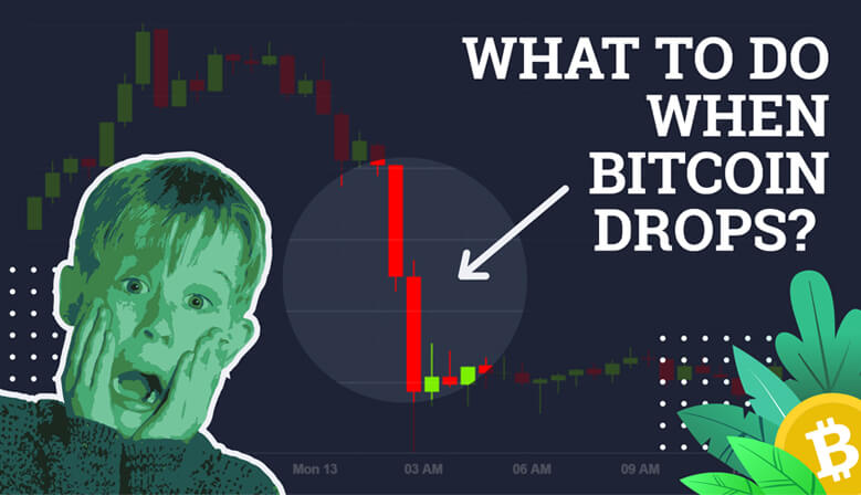 What to do when Bitcoin drops?