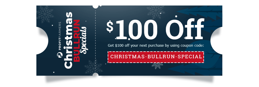 christmas 2020 bull run special coupon