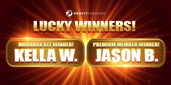WIN 1 MONTH BLOG Lucky Winners