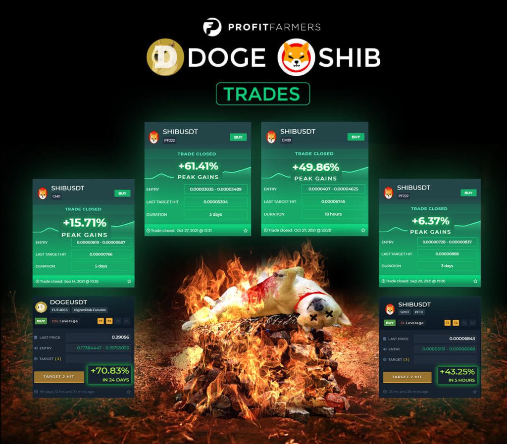 SHIB DOGE High gains