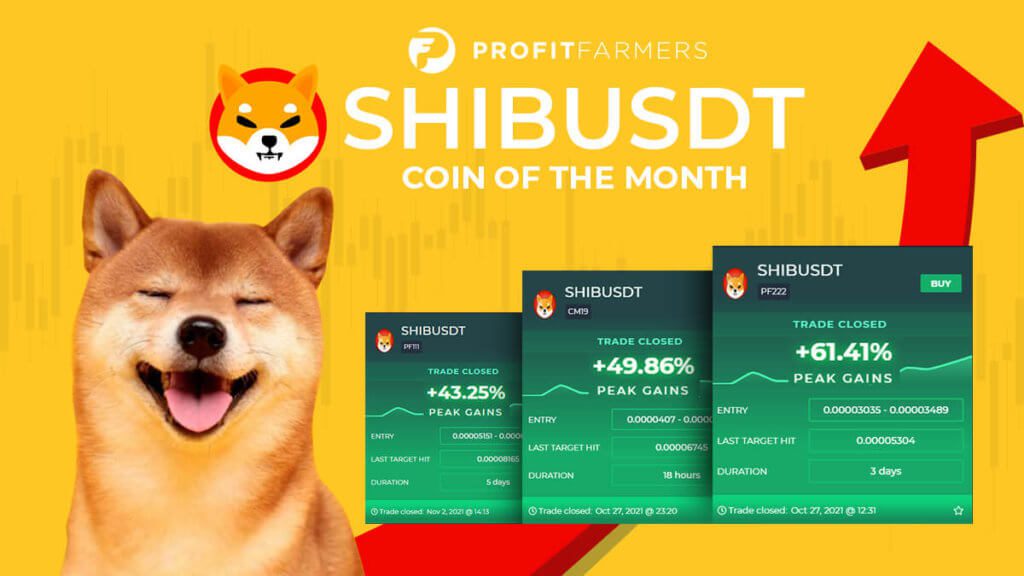 SHIBUSDT Coin of the Month