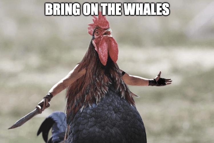 bring on the whales meme