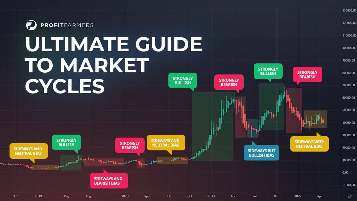 ultimate guide to crypto market cycles